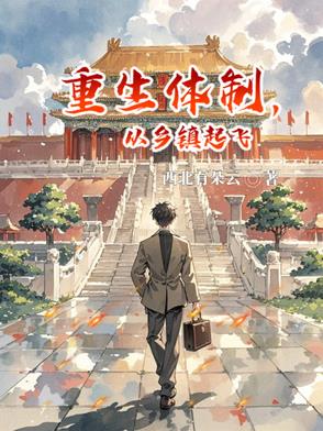 重生体制，从乡镇起飞重生体制，从乡镇起飞