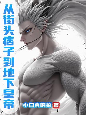 从街头痞子到地下皇帝从街头痞子到地下皇帝